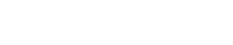 Bird Group Logo